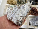 IX Mesa de Intercambio de Minerales y Fósiles de Alicante. 