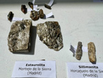 IX Mesa de Intercambio de Minerales y Fósiles de Alicante. 