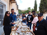 IX Mesa de Intercambio de Minerales y Fósiles de Alicante. 