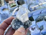 VIII Mesa de Intercambio de Minerales y Fósiles de Alicante. 