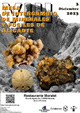 VIII Mesa de Intercambio de Minerales y Fósiles de Alicante. 