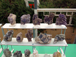 VII Mesa de Intercambio de Minerales y Fósiles de Alicante. 