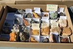 X Mesa de Intercambio de Minerales y Fósiles de Alicante. 