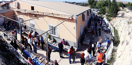 X Mesa de Intercambio de Minerales y Fósiles de Alicante. 